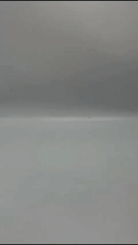 Astaxanthina Brillo Vital